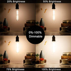 LiteHistory Dimmable E26 Light Bulb 6W Equal 60 watt led Light Bulb AC120V Warm White 2700K Edison 60 Watt 600LM T10 Bulb for Rustic Pendant,Industrial Pipe,Wall sconces,Vanity 6Pack