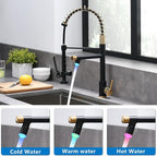 Fapully LED Kitchen Faucet with Pull Down Sprayer,Black&Gold Commercial Kitchen Faucet for Kitchen Sink