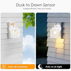 GRUENLICH Dusk to Dawn Outdoor Wall Lantern, Exterior Wall Sconce Light Fixture, Outside Porch Lighting with Clear Glass for House, Patio, White, 2 Pack