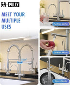 Fapully Commercial 3 Way Kitchen Faucets with Pull Down Sprayer and Water Filler,3 in 1 Kitchen Sink Faucet with Drinking Water Faucet Brushed Nickel