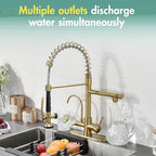 Fapully Brushed Gold Commercial Kitchen Faucet with Pull Down Sprayer and Water Filter,3 in 1 Kitchen Faucets with Drinking Water Faucet