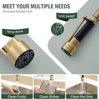 Fapully LED Kitchen Sink Faucet with Pull Down Sprayer Brushed Gold