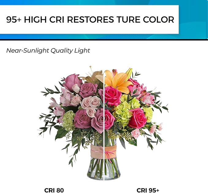 Hizashi LED Edison Bulbs, 6W, Equivalent 60W, Dimmable E26 LED Bulb, Daylight 5000K, 90+ CRI 700 Lumens, ST19 Vintage Light Bulbs, Clear Glass, Pack of 4