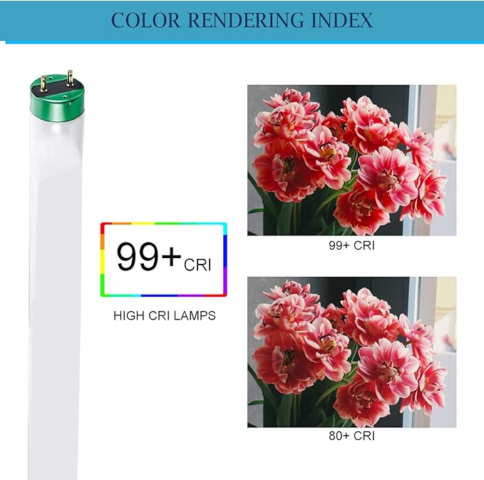 DYSMIO Case of 30 48 inch 32 Watts T8 High CRI Fluorescent Tube Light eco- Friendly Replacement Bulbs with Alto II Technology- 30 Pack, 5000K - Natural Light