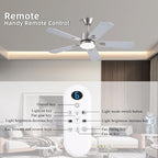 42 inch Modern Ceiling Fans with Lights APP/Remote Control, Low Profile Reversible 6 Speeds Dimmable Ceiling Fan Light for Indoor/Outdoor Bedroom Living Room（Nickel）