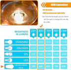 12 Pack LED Edison Bulbs 40 Watt Equivalent, 4 Watt LED Filament Bulb, 3000K ST19 Warm White Light Bulb, 450LM E26 Vintage Bulbs CRI 90, Not Dimmable