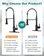 Kitchen Faucets with Pull Down Sprayer: Matte Black 3-Function Kitchen Sink Faucets for 1 or 3 Hole - Stainless Steel Single Handle Spring Kitchen Faucets with Deck Plate for Farmhouse RV Laundry