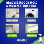 30 SECONDS Mold & Mildew Stain Remover Spray- Indoor & Outdoor Use - 2 Pack (2)