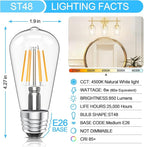 Ralbay ST48 Vintage LED Edison Bulbs 60 Watt Equivalent 6-Pack, Bright Natural White Light 4500K, E26 Antique LED Filament Bulbs, E26 Medium Base