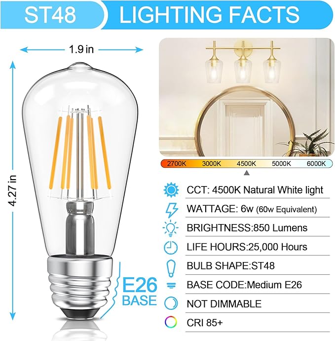 Ralbay 10 Pack Vintage LED Edison Bulbs ST48, 60W Equivalent, Bright Natural White Light 4500K, Clear Glass E26 Medium Base