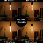 LiteHistory E26 LED Bulb Dimmable 6W led Bulb Equal 60 Watt Light Bulb Warm White 2200K Amber Edison Bulb AC120V 450lm T10 led Bulb for Rustic Pendant,Industrial Wall sconces E26 Light Bulbs 6Pack