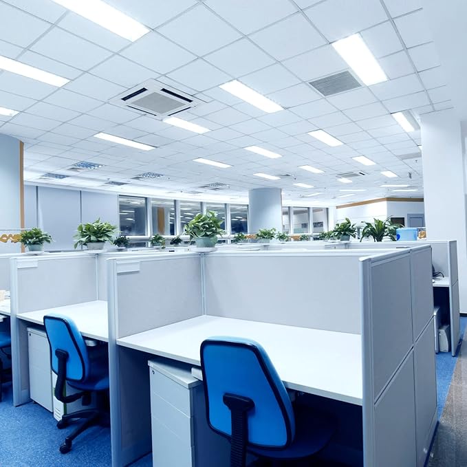 LUXRITE F32T8/865 32W 48 Inch T8 Fluorescent Tube Light Bulb, 6500K Daylight, 2800 Lumens, G13 Medium Bi-Pin Base, LR20735, 6-Pack