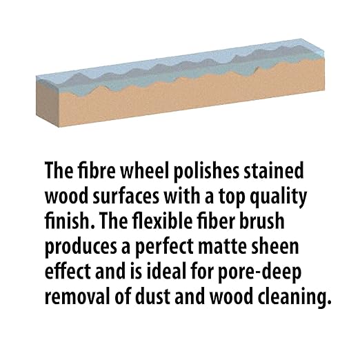 C.S. Unitec | PTX ECO Smart Variable Speed Woodworking Kit | Multi Purpose Buffer Polisher Machine for Wood Finishing,40004-3A