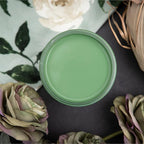 Dixie Belle Paint Company Chalk Finish Furniture Paint - Kudzu (4oz) - Matte Natural Green Chic Chalk Mineral DIY Furniture Paint