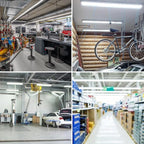 LED Fluorescent Light Bulbs 48 inch T8 LED Bulbs Type A+B,24W 3000LM Plug & Play or Ballast Bypass, Single and Double End Powered,5000K Frosted Cover,T8 T10 T12 4FT Tube Lights Replacement,12-Pack