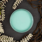 Dixie Belle Paint Company Chalk Finish Furniture Paint - The Gulf (8oz) - Matte Soft Turquoise Chic Chalk Mineral DIY Furniture Paint