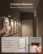 EZVALO Picture Lights for Wall, 2000mAh Rechargeable Battery Magnetic Poster Lights with 3 Color Temps & 12 RGB, Remote Dimmable Timer Painting Light, Wall Decor Light for Art Display, Frame (3 Pack)