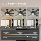 52in Ceiling Fans with Lights RGB Ceiling Fan with Light and Remote/APP Control,Low Profile Ceiling Fans with Lights for Bedroom,Living Room,Kids Room,3CCT Dimmable Modern Ceiling Fan, 8 Speeds,black