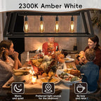 Jensense Edison LED Light Bulbs E26 Bulb 60 watt Equivalent Dimmable Light Bulbs 2300K Warm White (Amber Glass) Vintage 7W Edison Bulbs 110V 120V 800 Lumen CRI90, 1 Pack