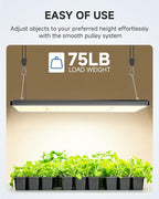 Fondwell 1/8" Rope Tie Downs Ratchet: 4 Pack of Grow Light Hangers Adjustable - Mini Ratchet Straps for Various Hanging and Strapping