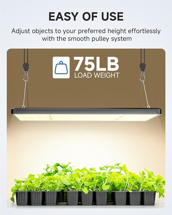 Fondwell 1/8" Adjustable Grow Light Hangers: 12 Pack of Ratchet Rope Tie Downs - Small Ratchet Straps for Various Hanging and Strapping