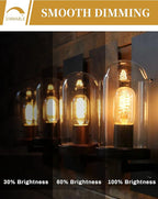 DORESshop Edison Bulbs [4 Pack], 60 Watt Light Bulbs, Incandescent Light Bulbs, T45, 110-130 Volts, E26 Bulb, Spiral Filament Lightbulbs, Dimmable Decorative Light Bulbs, Amber Glass, Warm White