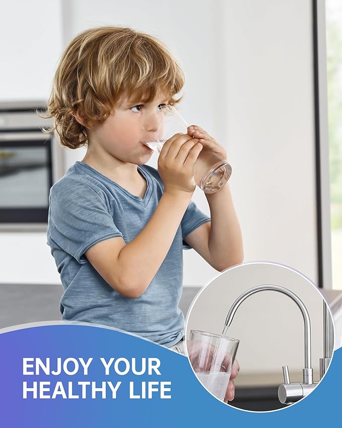 Fapully Commercial 3 Way Kitchen Faucets with Pull Down Sprayer and Water Filler,3 in 1 Kitchen Sink Faucet with Drinking Water Faucet Brushed Nickel