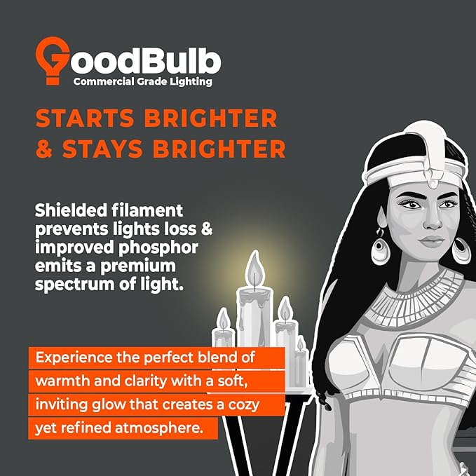 GoodBulb 21W 34 Inch T5 Fluorescent Light Bulb 3000K Warm White Medium Bi-Pin Base 2100 Lumens 85 CRI 36000 Life Hours Instant/Programmed Start (Pack of 40)