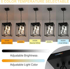 4-Lights LED Large 5CCT Outdoor Pendant Lights, Black Hanging Porch Lighting Fixture Build-in LED Chips with Clear Glass, Exterior Lantern Chandelier Ceiling Mount for Front Door Patio Garden