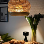 Jensense Edison LED Light Bulbs 8Watt Dimmable, 2700K Warm White, E26 Base, 60W Equivalent, Vintage Style, 800lm, CRI 90, Clear Glass, 12 Pack