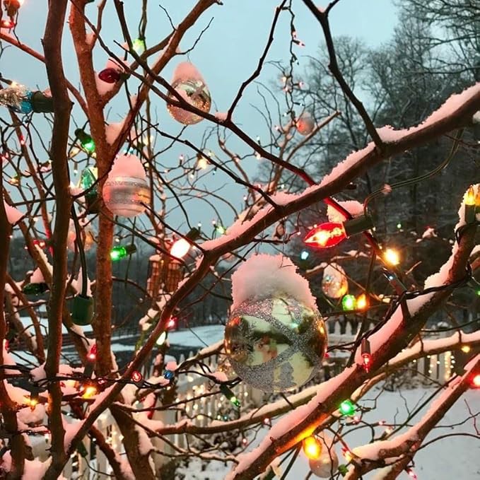 Novelty Lights 500 Case C7 Outdoor Christmas Replacement Bulbs, Multi, C7/E12 Candelabra Base, 5 Watt, 500 Bulbs