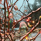 Novelty Lights 500 Case C7 Outdoor Christmas Replacement Bulbs, Multi, C7/E12 Candelabra Base, 5 Watt, 500 Bulbs