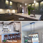 3.2 Inch 5000K Daylight White E26 LED Bulb 60 Watt Equal, AC 120V 600LM Edison Bulbs Dimmable, 6W T10 T30 Filament Light Bulbs Clear Glass for Fan Pendant Wall Light, UL Listed-6 Pack