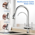 MENATT 2 Handle Kitchen Sink Faucet with Dringking Water Faucet, Pull Down Sprayer 3 in 1 Water Filter Purifier Faucets (Chrome)