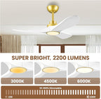 42" Ceiling Fans with Lights, Low Profile Modern Ceiling Fan with Remote Control, DC Motor, Reversible, 3CCT, Dimmable, Noiseless, Indoor Outdoor Ceiling Fans for Bedroom, Living Room, Dining Room