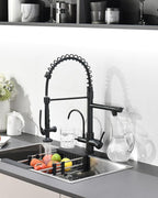 Fapully Commercial 3 Way Kitchen Faucets with Pull Down Sprayer and Water Filler,3 in 1 Kitchen Sink Faucet with Drinking Water Faucet Matte Black