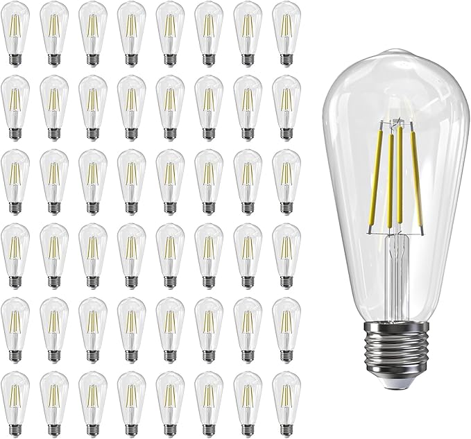 Jensense LED Edison Light Bulbs 8 Watt Dimmable 5000K Daylight White, E26 60 Watt Equivalent, Vintage Bulbs 800lm CRI 90 Clear Glass 48 Pack