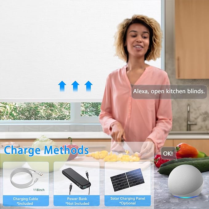 Motorized Blinds with Remote Cordless Automatic Motorized Shades Custom Blinds for Windows Smart Curtains Compatible with Alexa Google Home(Blackout Jacquard White,W27 x H72in)