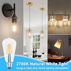 Ralbay ST64 Vintage LED Edison Bulbs 10 Pack, 60W Equivalent, Warm White 2700K, Clear Glass E26 Medium Base