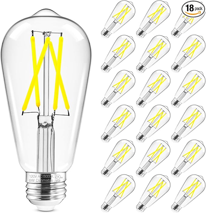 Hizashi Vintage LED Light Bulb Dimmable, 6W Equivalent 60W, E26 Base Led Edison Bulbs, 5000k Daylight, 700LM, High CRI 95+ Eye Protection, Clear Glass, Pack of 18