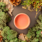 Dixie Belle Paint Company Chalk Finish Furniture Paint - Cottage Door (1 Gallon - 128oz) - Matte Dusty Coral Chic Chalk Mineral DIY Furniture Paint