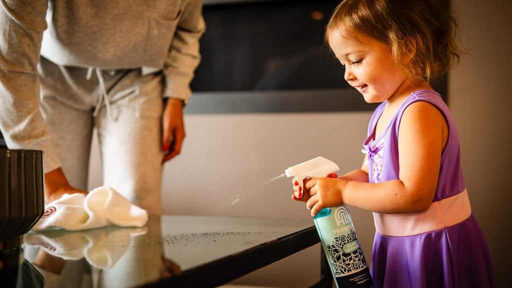 16oz Glass Cleaner - No Streak, All Shine! Achieve a Crystal Clear Shine on All of Your Glass Surfaces | Elimate Fingerprints, Smudges, Water Spots, and More! (2 pack)