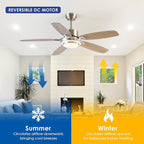 50inch Brushed Nickel Ceiling Fan with Light - Quiet Reversible DC Motor 5 Dual-Finish Blades Dimmable 3-Color LED for Bedroom Living Room Indoor