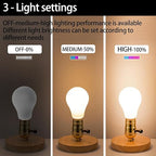 Lamp Socket Replacement, E26 Threaded Base, Turn Knob for Low-Medium-High Light Settings 2 Way (Gold)