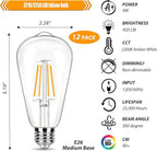 12 Pack LED Edison Bulbs 40W Equivalent, 4 Watt ST19 LED Filament Bulb, 2200K Amber White, Vintage Light Bulbs for Ceiling Light Fixtures, E26 Base, 450LM, Non-dim