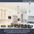 LUXRITE 4 Inch Ultra Thin LED Recessed Light with J-Box, 10W, 5 Color Options 2700K | 3000K | 3500K | 4000K | 5000K, Dimmable Wafer Lights, 750 Lumens, Brass Trim, Energy Star, IC Rated