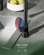 APPASO Pull Down Kitchen Faucet with Sprayer Oil Rubbed Bronze, Single Handle High Arc Faucet with Deck Plate, Neoperl Aerator, CUPC-Certified Pull-Out Hose, Water Supply Tubing, and Valve Core