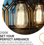 HUDSON BULB CO. Vintage Edison Incandescent 60W 12-Pack Light Bulbs - Antique ST64 Dimmable 2100K Warm Decorative Squirrel Filament - E26/E27 Base for Indoor Outdoor - Lightbulb - Outdoor Light