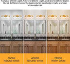 4 Light Gold Bathroom Vanity Light, Brushed Brass Bathroom Light Fixtures with Clear Glass Shade, Modern Wall Lamp Sconce Lighting for Bath Mirror Bedroom Living Room Hallway Porch