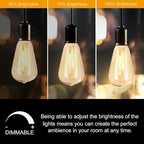 Abeja 10 Pack LED Edison Light Bulbs, ST40 Clear Replacement Bulb 0.6W fits E17 C9 Screw Base, Vintage Dimmable Shatterproof Bulbs for Outdoor Patio ST40 String Lights, Warm White